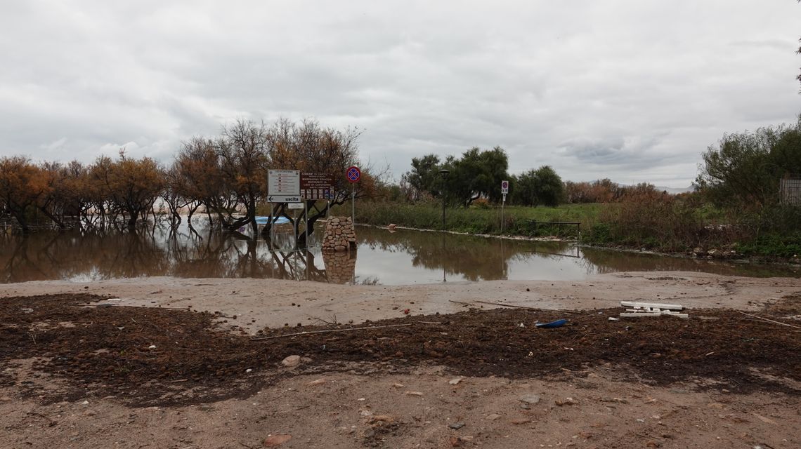 Emergenza traffico nell’area industriale di Macchiareddu, l’assessora del Lavoro, D. Manca: “Invito alla collaborazione delle imprese per sostenere la mobilità e ridurre i disagi”