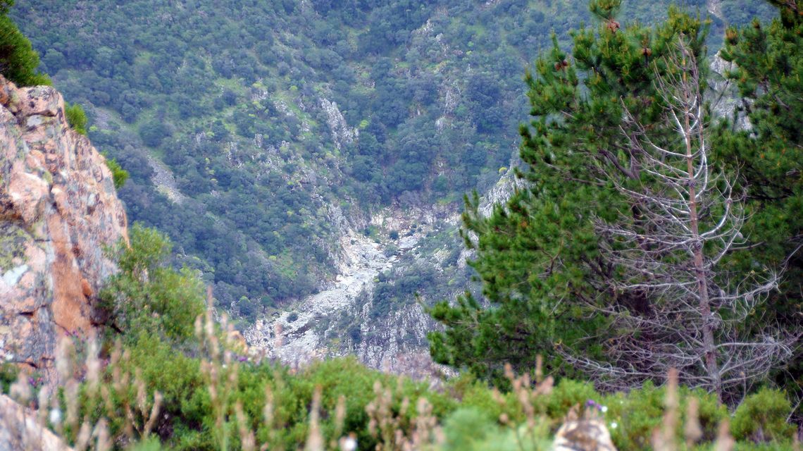 Parco naturale regionale di Tepilora