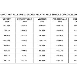 dati sui votanti alle ore 22 di oggi relativi alle singole circoscrizioni provinciali - 