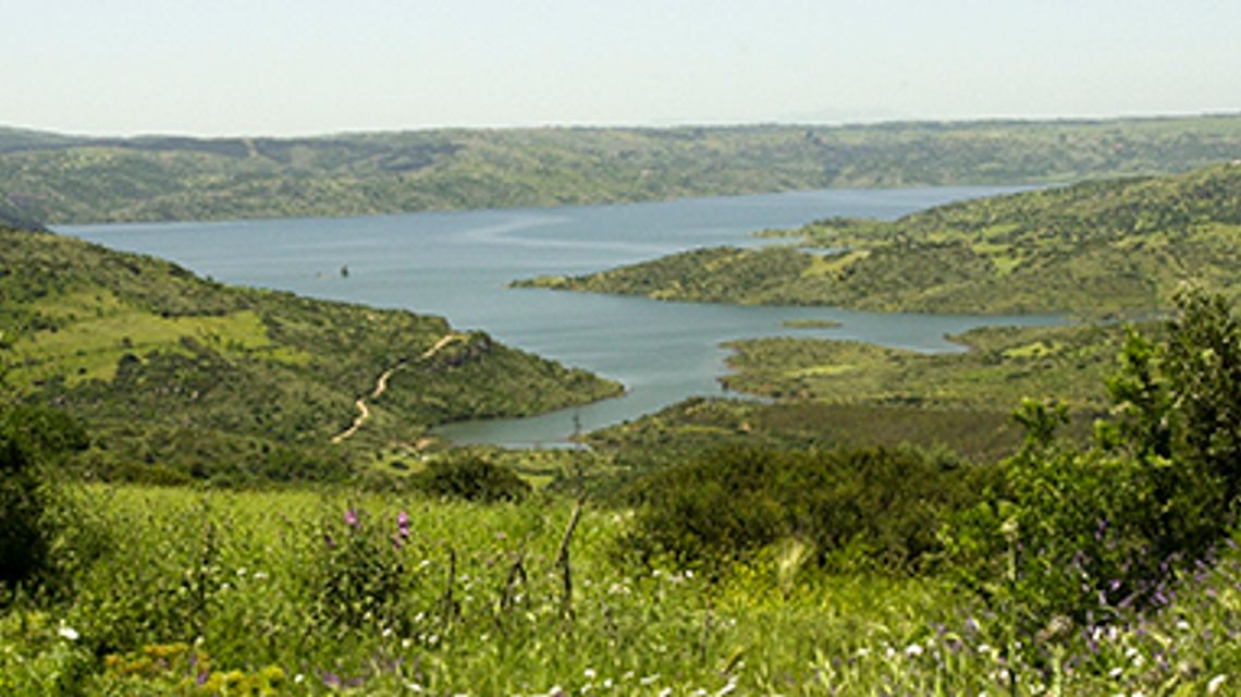 agricoltura