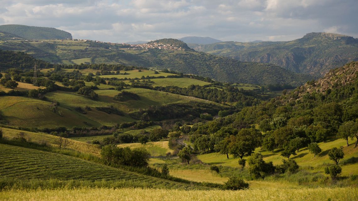 Campagne della Sardegna