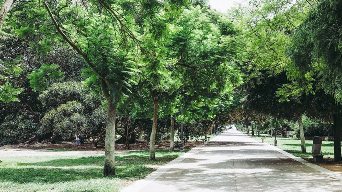 Cagliari, giardini pubblici