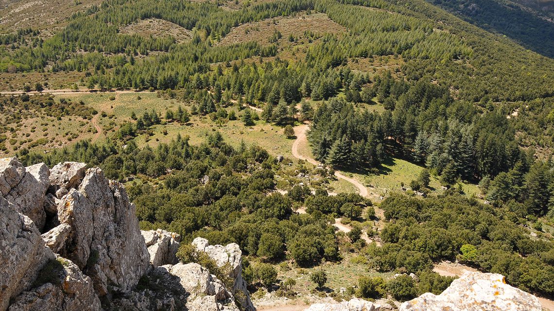 ambiente-montagne-boschi-trekking-