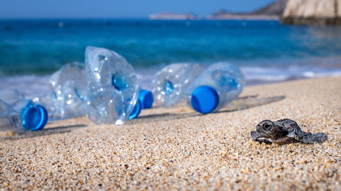 Bottiglie di plastica