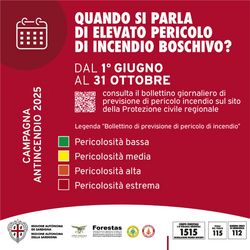 Elevato pericolo incendio boschivo