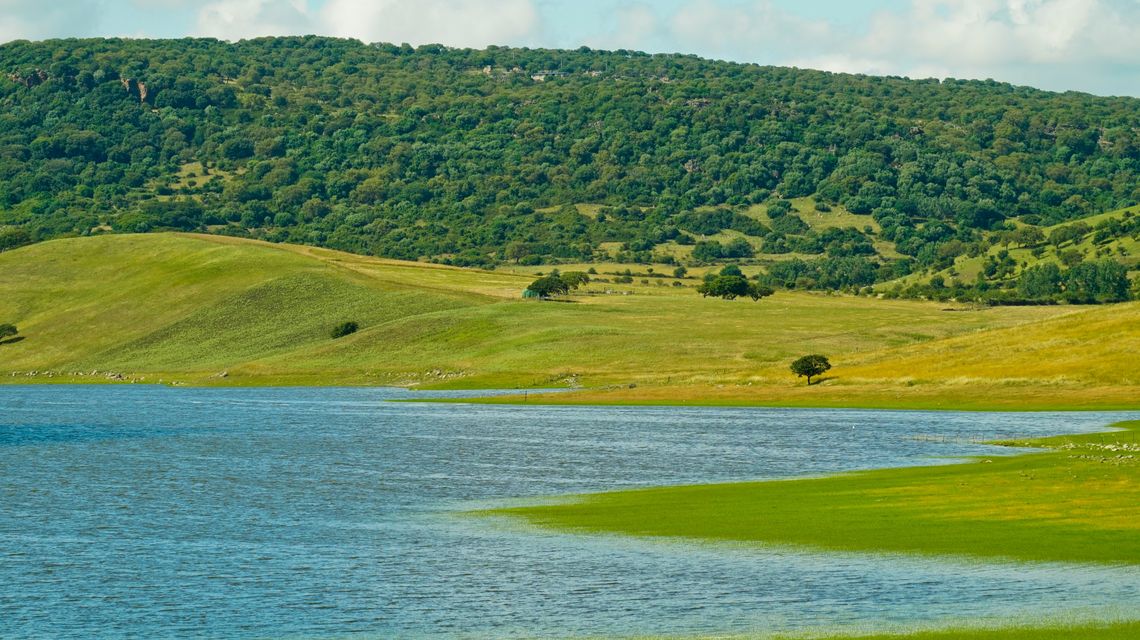 Bacino artificiale del lago Bidighinzu