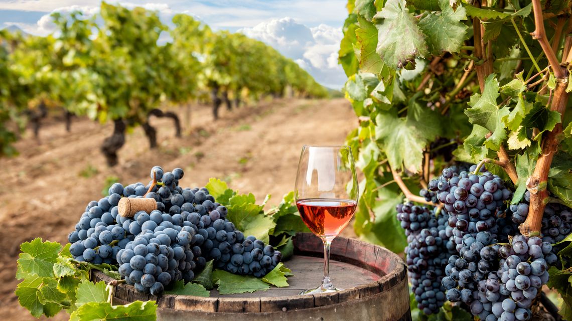 La Sardegna protagonista alla Slow Wine Fair e al Sana Food a Bologna