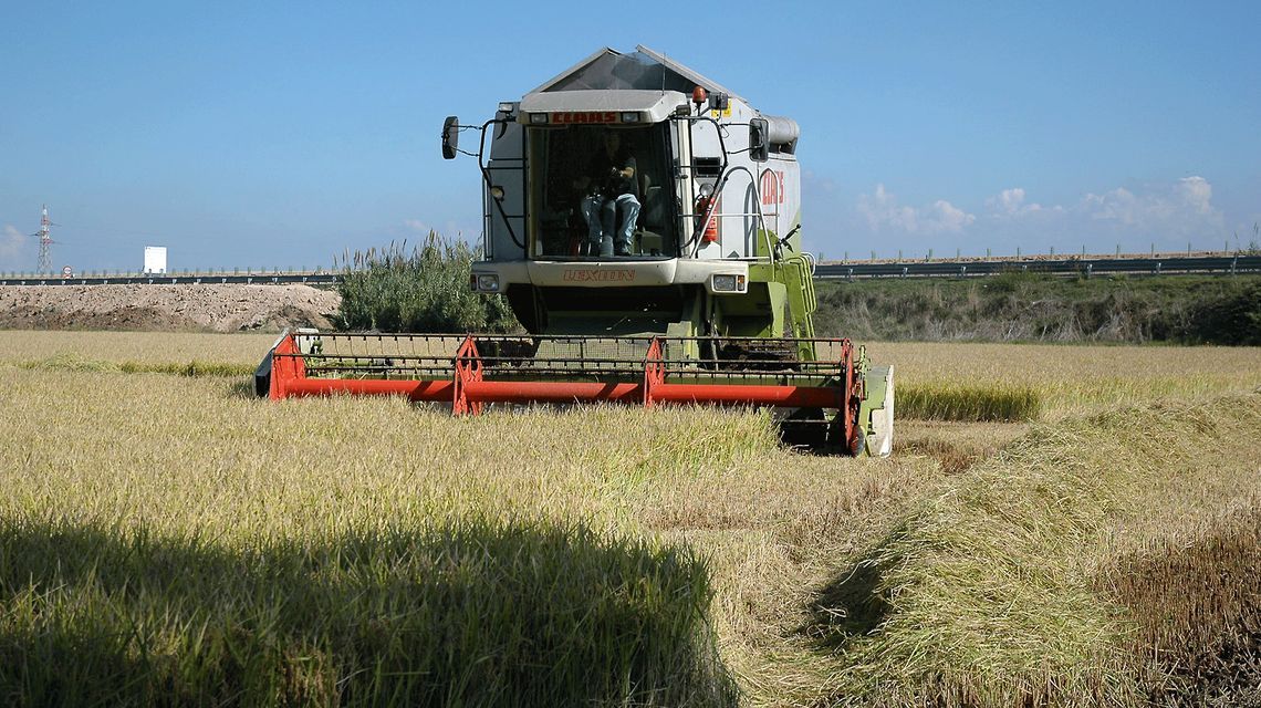 agricoltura, coltivazioni