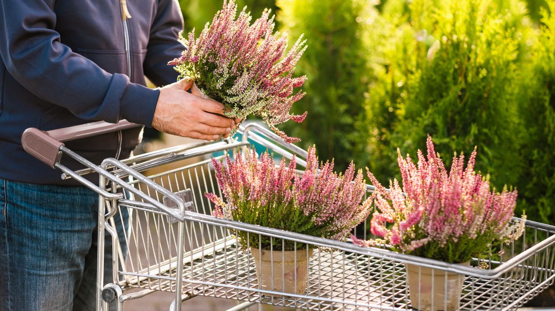 Centro commerciali naturale