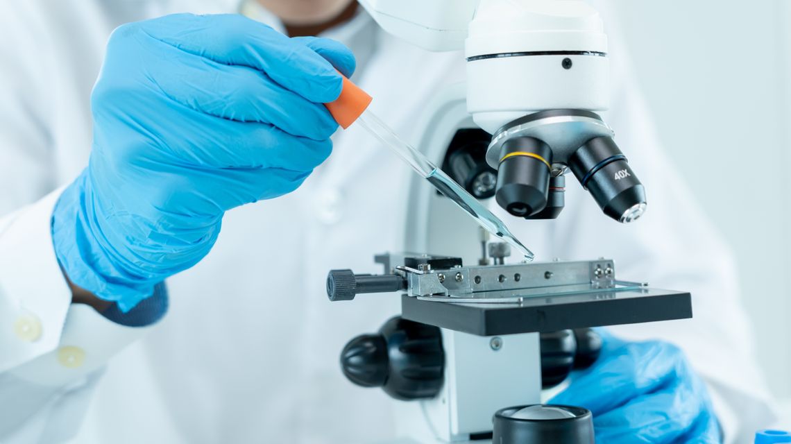 Laboratorio