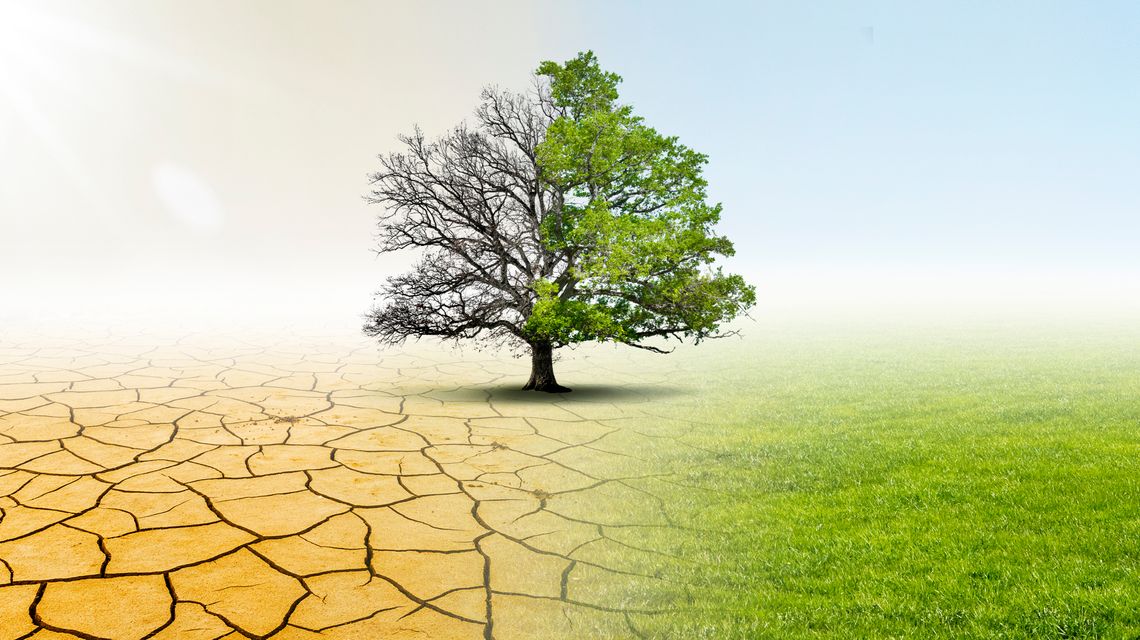 Cambiamenti climatici