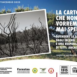 Il post che non vorremmo mai pubblicare