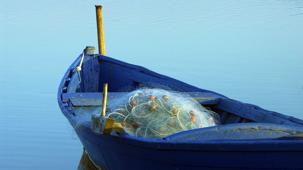 Regione Autonoma della Sardegna – Partecipazione a fiere internazionali, manifestazione d’interesse per imprese del settore pesca e acquacoltura #adessonews