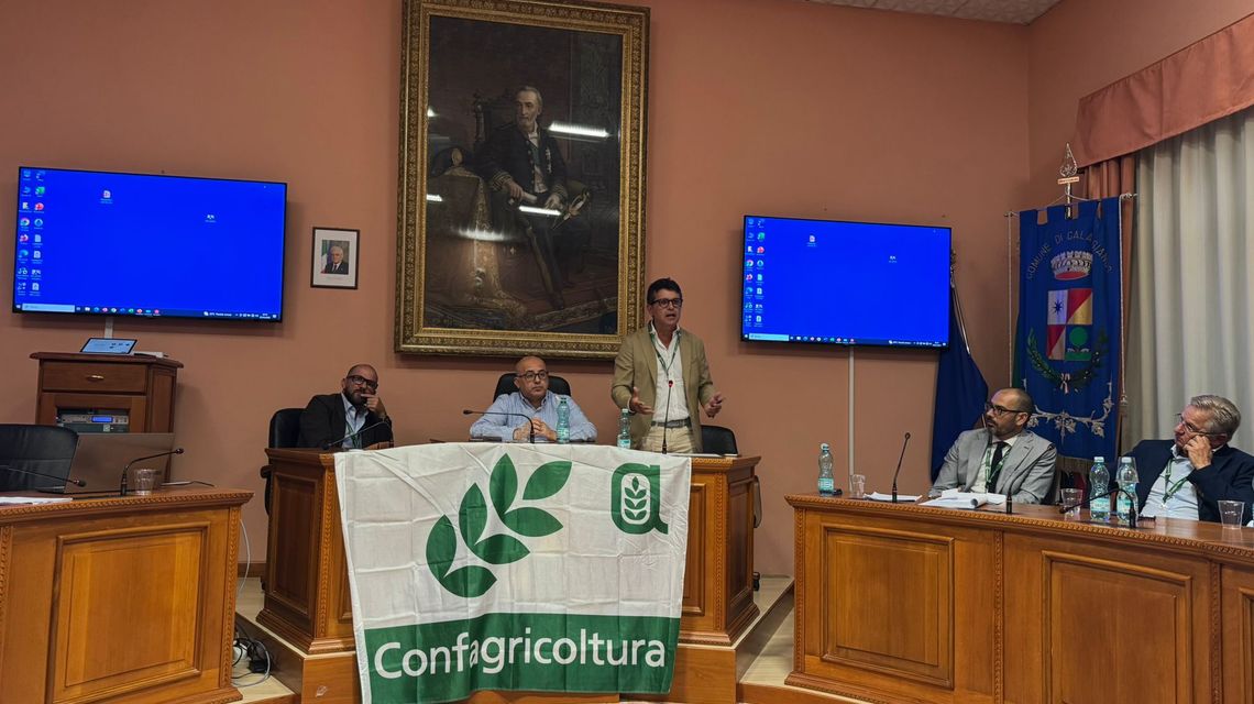 Convegno a Calangianus, assessore dell'Agricoltura, Satta