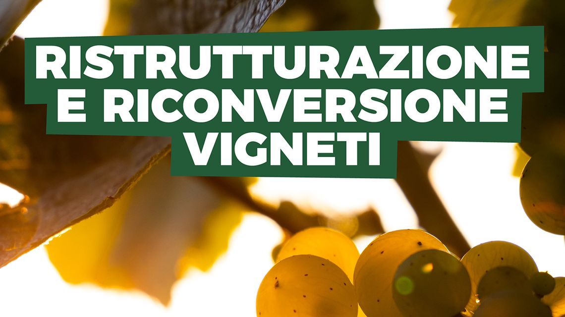 Vigneti