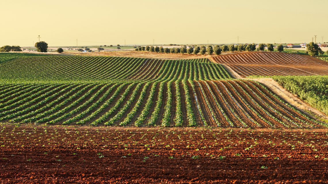 Agricoltura