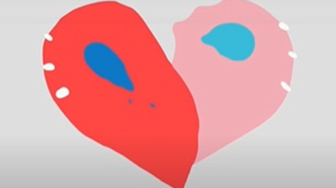 Chi ama non taglia le ali - campagna di sensibilizzazione contro la violenza sulle donne