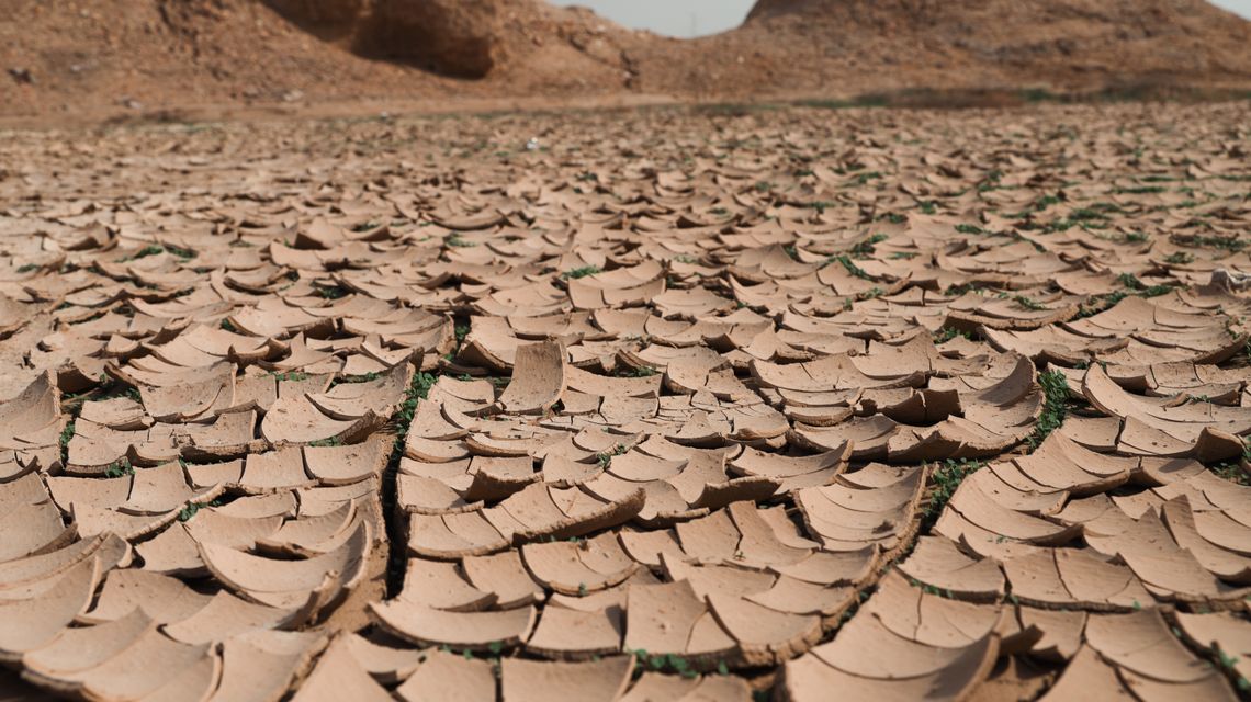 Cambiamenti climatici