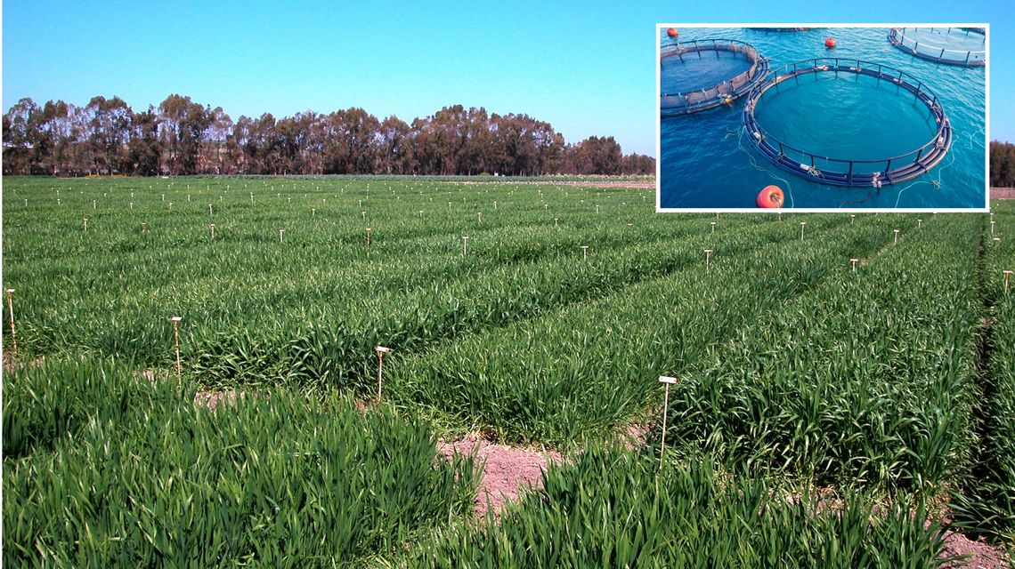 Agricoltura: assessore Satta, proseguono gli incontri con le Associazioni e gli Ordini professionali