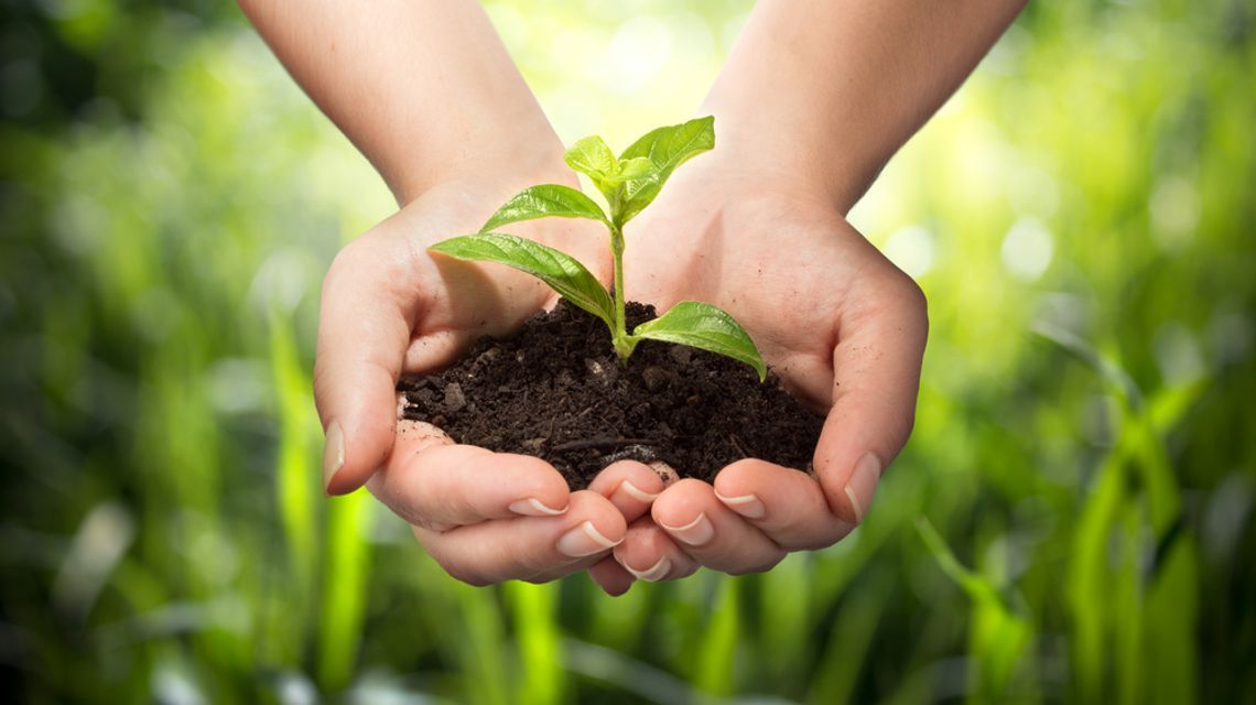 Agricoltura biologica