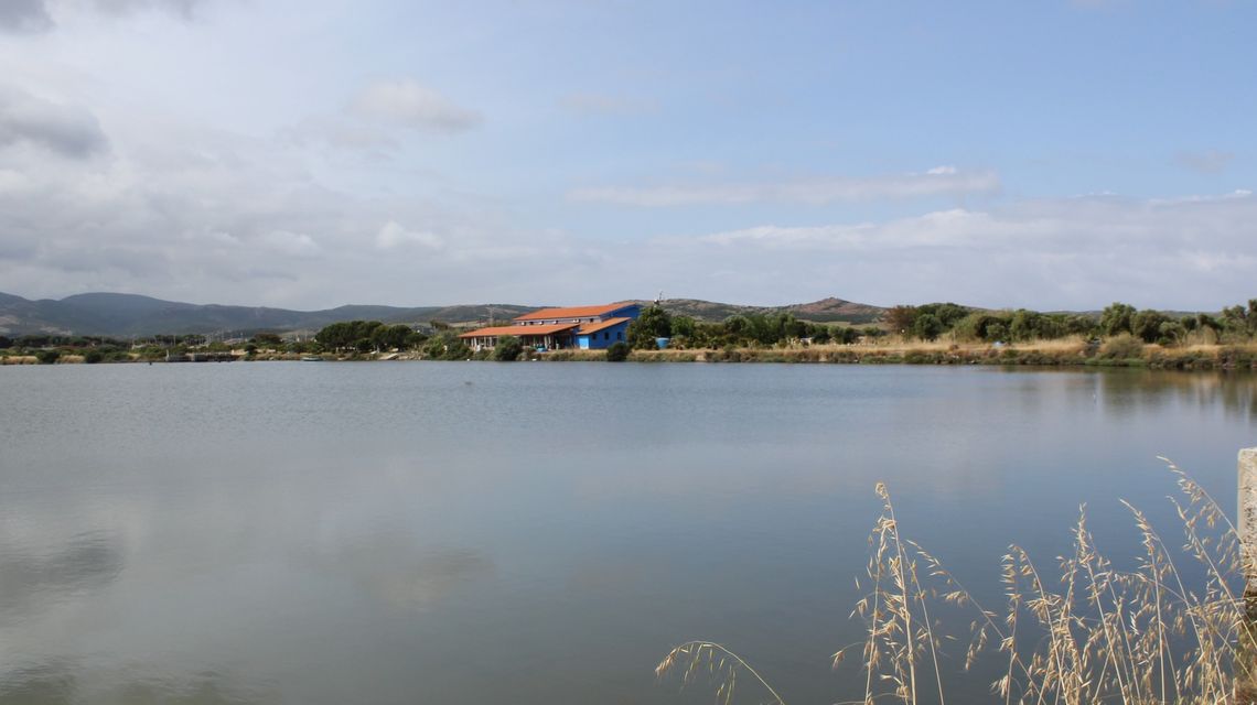 Stagno di Pauli Biancu Turri